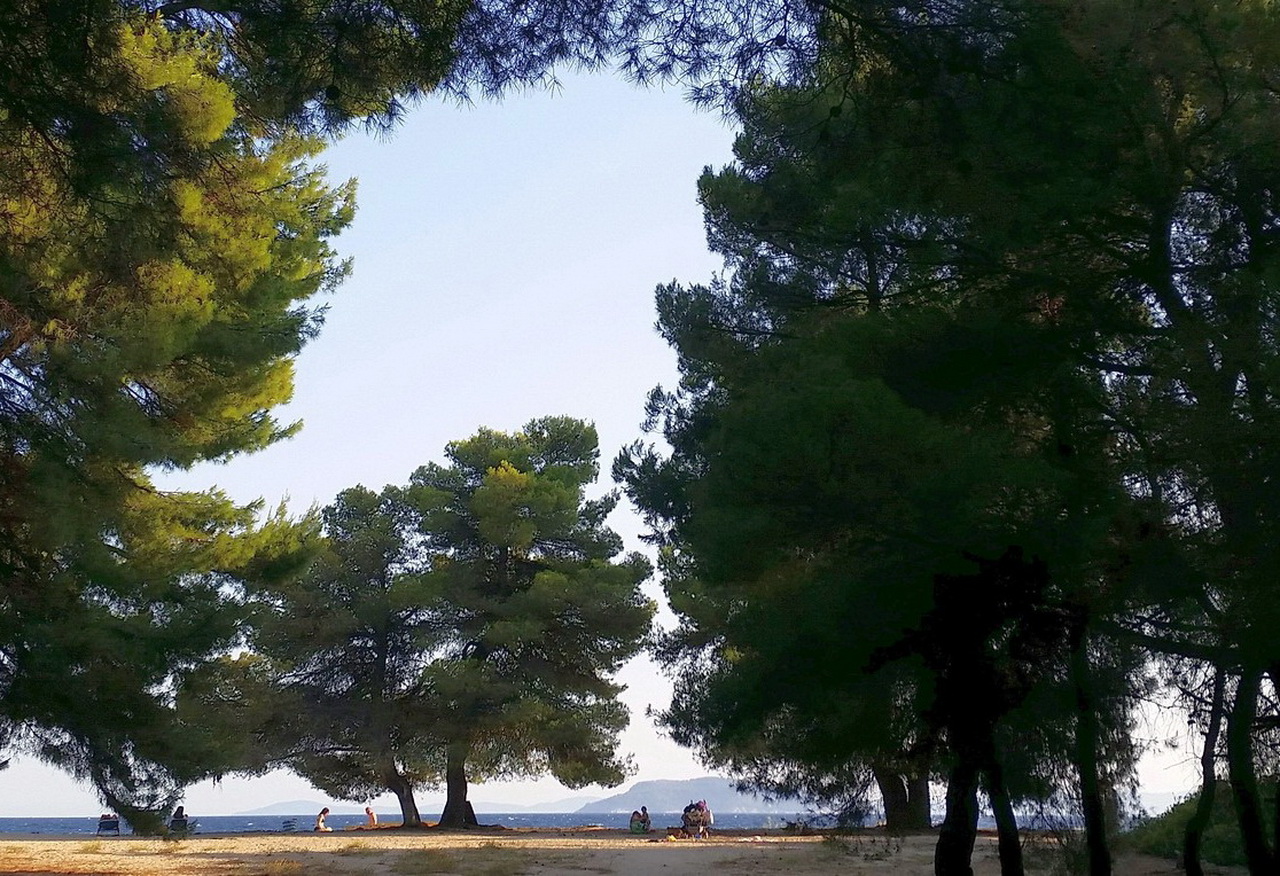  Lagomandra beach Sithonia Halkidiki 